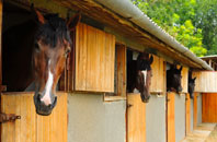 free Llangyndeyrn stable construction quotes